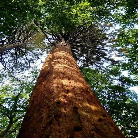 Mit Aussensauna In * Wendorf (Kuhlen-Wendorf)