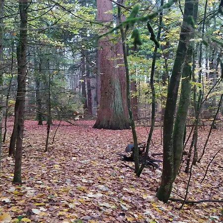 Mit Aussensauna In 別荘 *