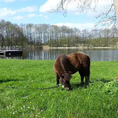 Casa vacanze Mit Aussensauna In Wendorf (Kuhlen-Wendorf)