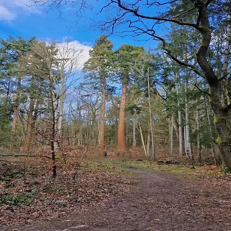 Mit Aussensauna In 別荘 Wendorf