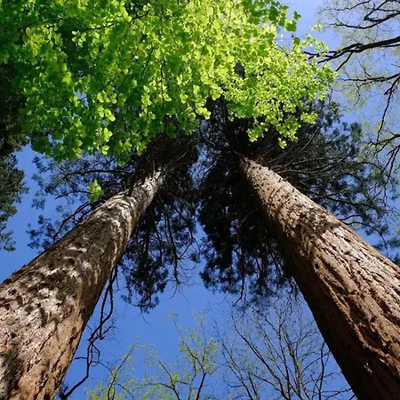 Mit Aussensauna In * Wendorf (Kuhlen-Wendorf)