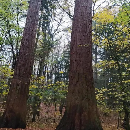 Mit Aussensauna In * Wendorf (Kuhlen-Wendorf)