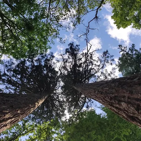 Mit Aussensauna In *