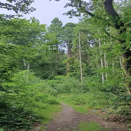 Mit Aussensauna In Casa vacanze Wendorf (Kuhlen-Wendorf)
