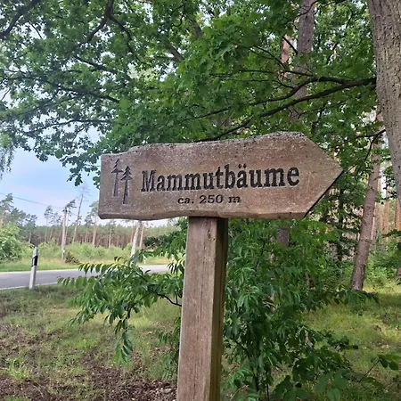 Mit Aussensauna In *
