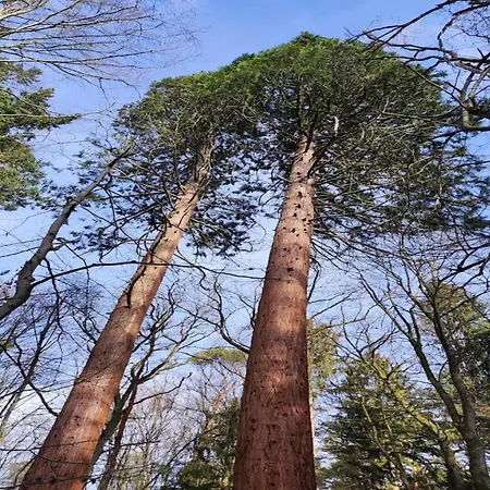 Casa vacanze Mit Aussensauna In